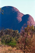 OB146  Kata Tjuta (The Olgas) Northern Territory